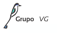 Grupo VG